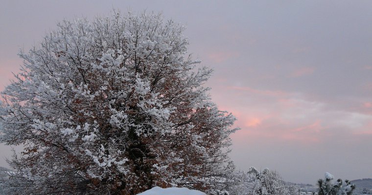 Exposition "Hivers Blancs" - Patrimoine Herbasse_Saint-Donat-sur-l'Herbasse