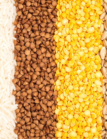 (Re)Découvrons les légumineuses ! - Le mois de la famille