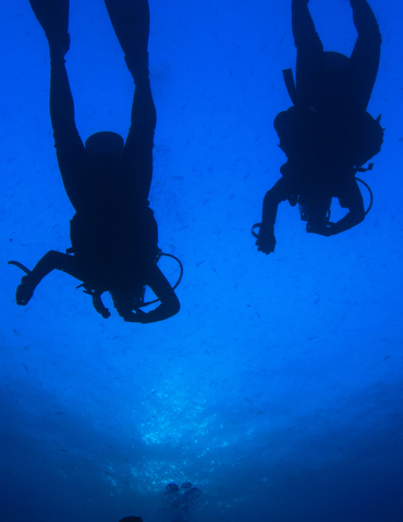Baptême de plongée - Linae