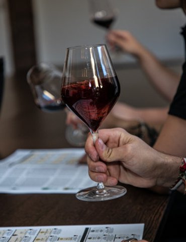 Atelier Découverte "Rhône Sud" - M.CHAPOUTIER