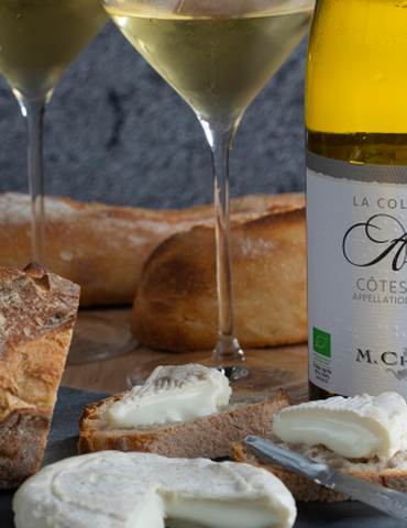 Atelier "Vin & fromage" - M.CHAPOUTIER