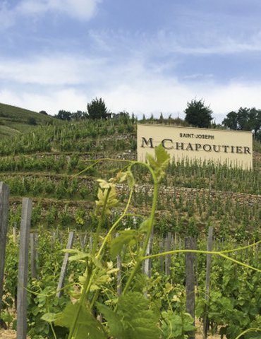 Atelier Découverte "  100% Saint Joseph   " - M.CHAPOUTIER