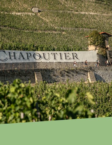 Atelier Découverte "  100% Crozes-Hermitage  " - M.CHAPOUTIER