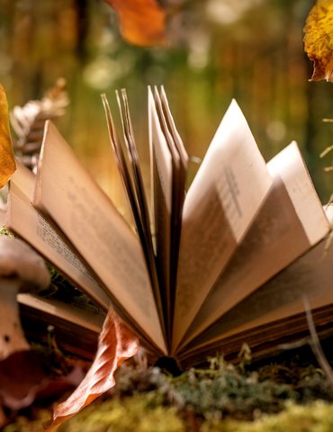 Cécile Acquaviva avec l'arbre aux oiseaux - Chanos-Curson