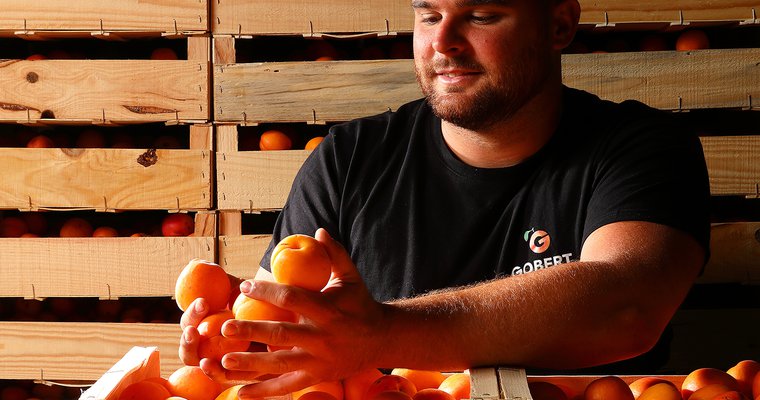 Visite de la Maison de l'Abricot : découvrez l'exploitation !_Chantemerle-les-Blés