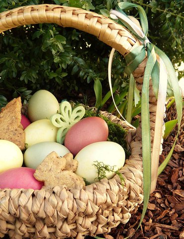 Chasse aux oeufs - La Roch de Glun