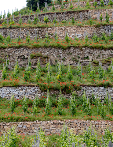Escapade de villes en villages