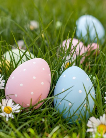 Grande chasse aux oeufs de Pâques