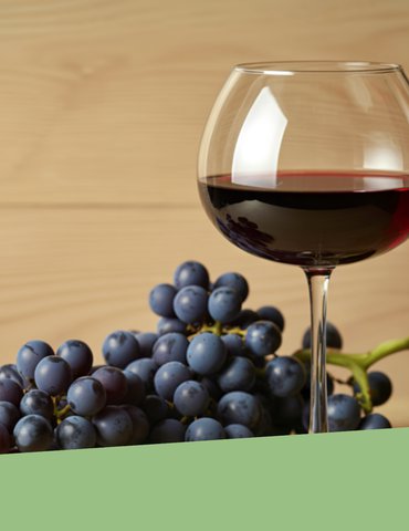 Dégustation de vins avec "Epicur Yann" & Assemblage