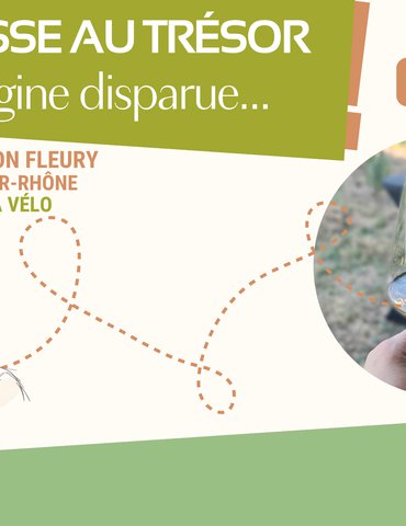 Chasse au trésor : L'Origine disparue - Luyton Fleury