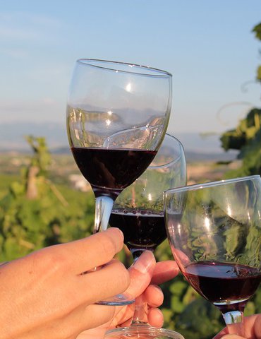 Apéro-vignes au domaine de Gouye