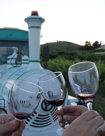 Soirée Les Vins de Viennes et Petit train des vignes à la Cages aux fleurs