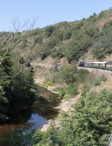 Train de la nature