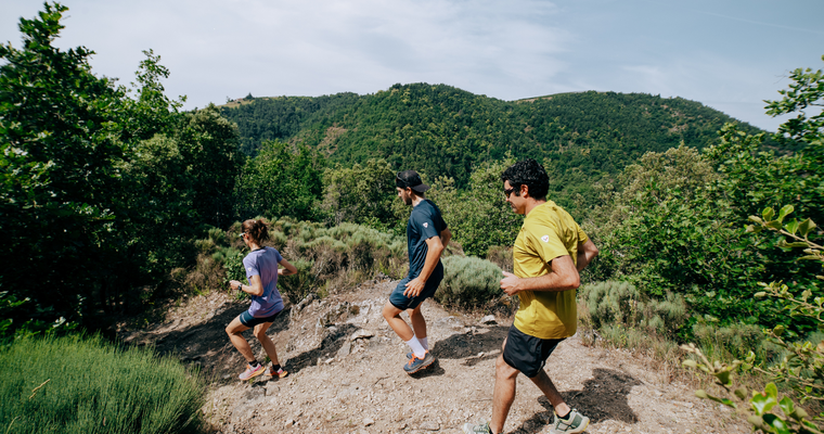 Trail