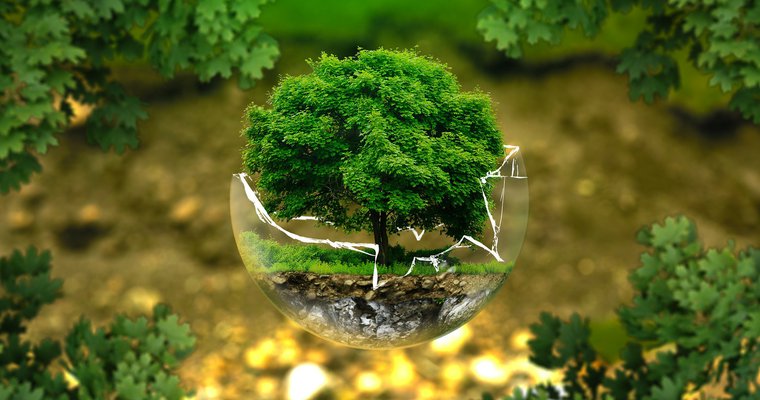 image montrant la nature