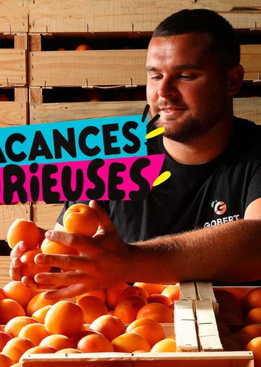 Portes-ouvertes à La Maison Gobert - Chantemerle-les-blés