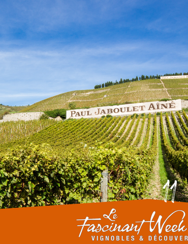 Visite de vignes en Hermitage et dégustations de vins - Vineum Paul Jaboulet