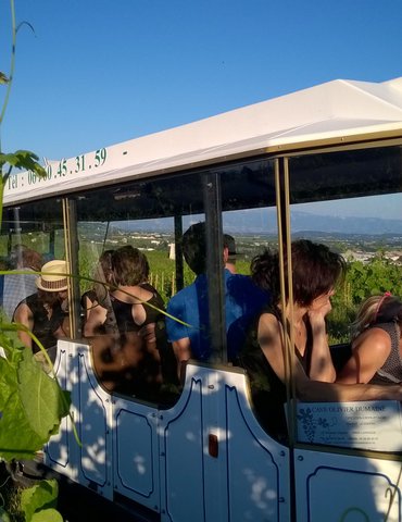 A Bon Train Bon Vin avec le Petit train des vignes