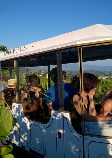 A Bon Train Bon Vin avec le Petit train des vignes