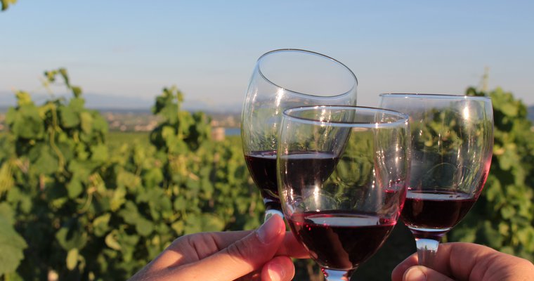 A bon train bon vins !