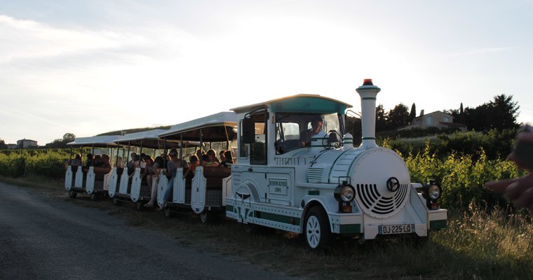 Le Petit Train des Vignes