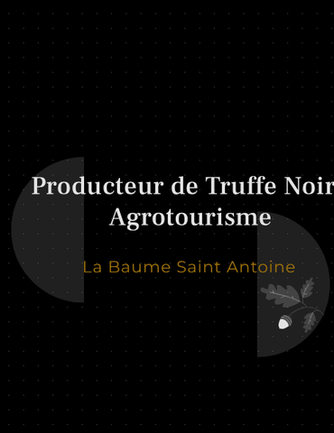Pique-nique truffé au milieu des chênes- La Baume Saint Antoine