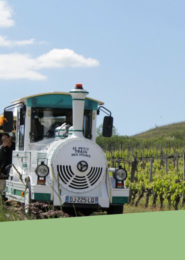 Balade à travers les vignes - Le Petit Train des Vignes