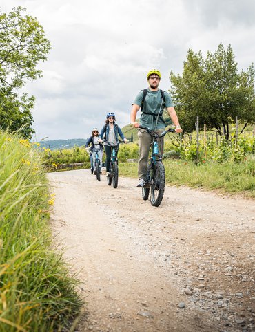 Balade en trottinette électrique tout terrain et dégustation - Terres de Syrah