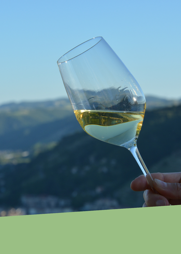 Visite guidée : " Au fil des cuvées" - Tournon sur Rhône