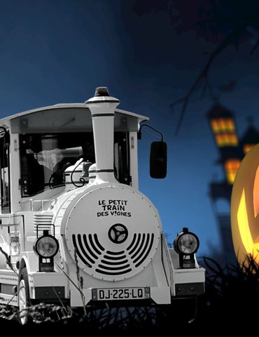 Petit train fantôme dans les vignes de l'Hermitage