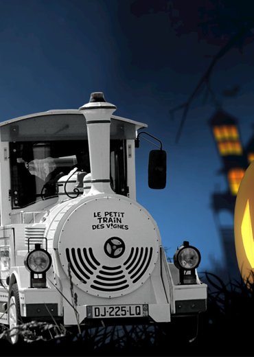 Petit train fantôme dans les vignes de l'Hermitage