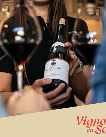 Visite de nos vignes et dégustation en accords mets et vins - Maison M. CHAPOUTIER