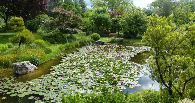 Rendez vous aux jardins : jardin zen