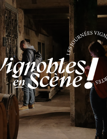 Vignobles en scène : Les Journées Vignobles & Découvertes - Vallée du Rhône Nord