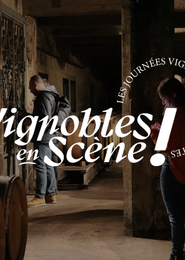 Vignobles en scène : Les Journées Vignobles & Découvertes - Vallée du Rhône Nord